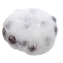 Mochi Vegan
